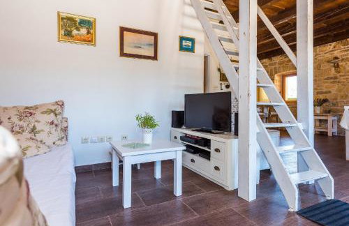 Rural house Mudrinic "Ivini dvori" - Foto 9