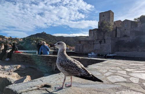 Appartement neuf et nouvelle top gestion, hyper calme, vue superbe mer et nature - Foto 77