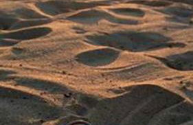 Panoramic Apartment Balestrate - Foto 24