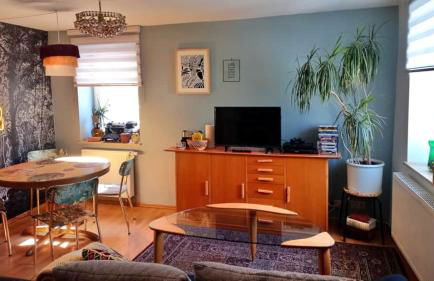 Casa Ane - Gäste Apartment - Foto 10