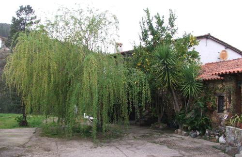 Chão da Lousa - Foto 15