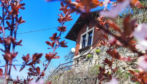 Weinberghaus - Wohnen im Weinberg in der Toskana des Nordens - Foto 3, Garden, Garden view