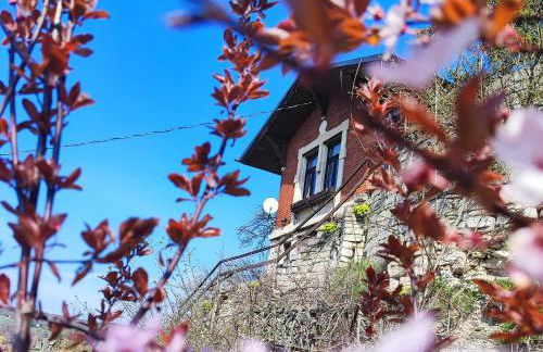 Weinberghaus - Wohnen im Weinberg in der Toskana des Nordens - Foto 3