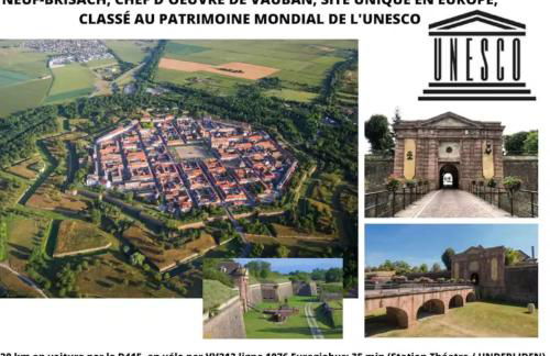 L'adresse Colmarienne - RDC - Terrasse - Garage - Foto 40