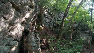 Baca Cabin Near Compton, Ponca, Buffalo River, Trails - Foto 4