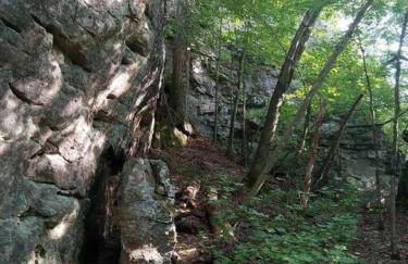 Baca Cabin Near Compton, Ponca, Buffalo River, Trails - Foto 4