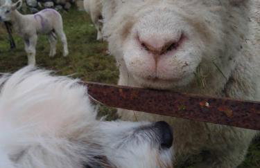 Kims Retreat - Foto 31