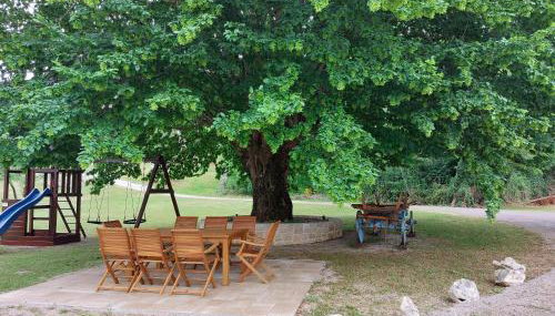 Stone house with pool and yard - Villa Histra - Foto 3, Garden, Garden view