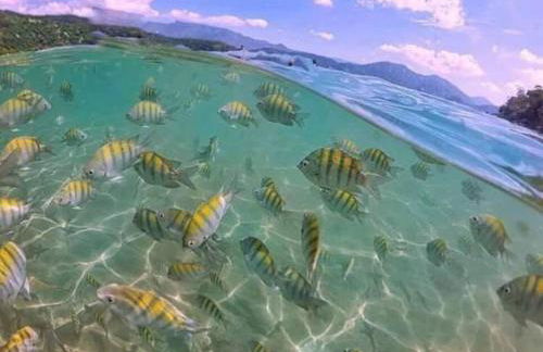 Incrível ap UBATUBA centro vista para o mar! - Foto 53