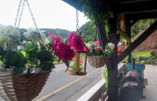 die rote Ente - Foto 9