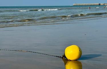 La cour d Anvers - Foto 53