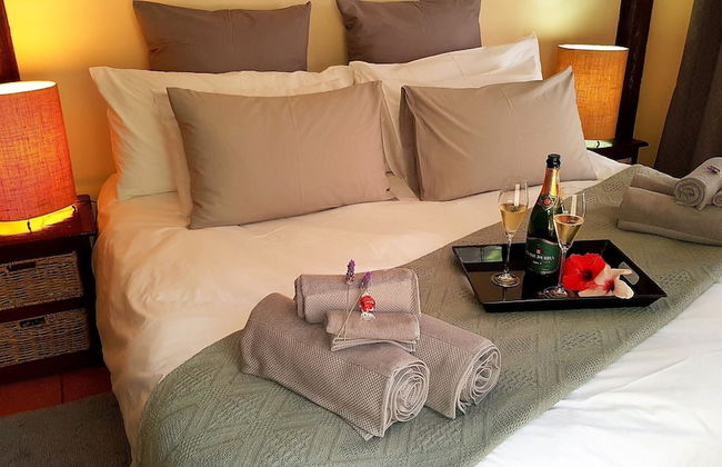 Experience Nature at Brenton on Sea With Breakers Dolphins and Whales - Foto 4