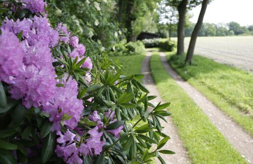 Ferienhaus im Schluh - Foto 22