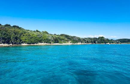 Apartments Anica - Foto 77