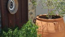Namaste Family House - Foto 5, Garden