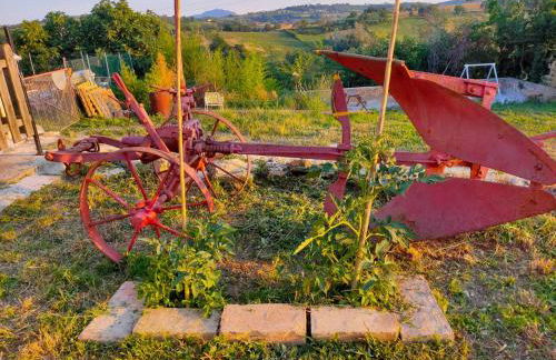 Giardino casa Selciata - Foto 32