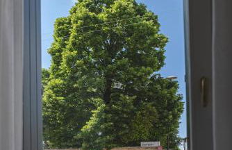 Treviso House - Foto 53