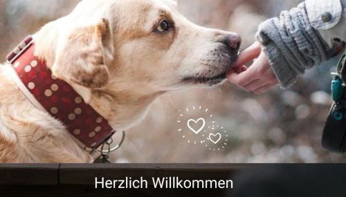 Kleine einzigartige Ferienwohnung auf dem Bauernhof, direkt in der Natur mit Blick auf Schloss Braunfels - Foto 4, pet friendly
