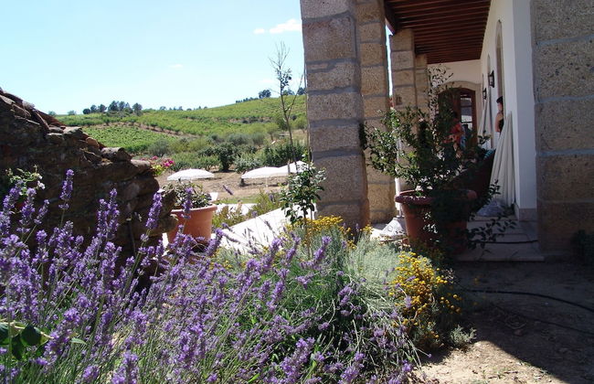 Quinta da Pereira - Foto 29