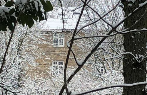 Wonderfully Scenic and Comfortable Dales Mill Property - Photo 45