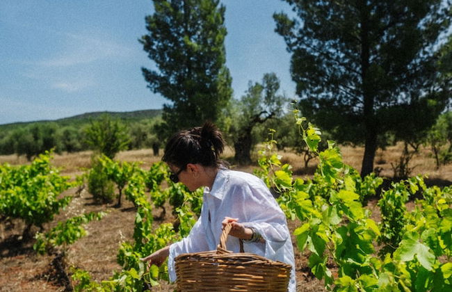 eumelia organic agrotourism farm - Photo 71