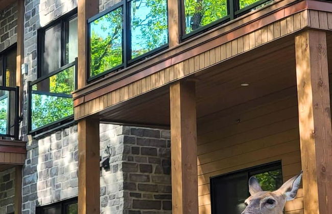 Château Morritt - Foto 40