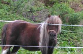 Baita Figliezzi - Foto 45