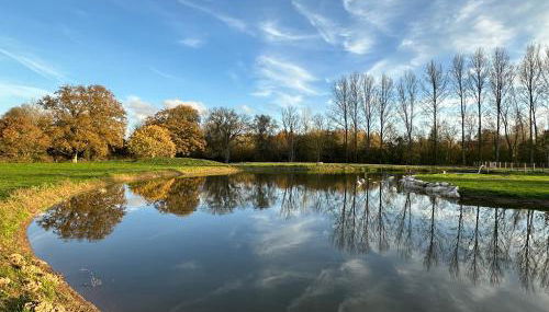 La Houblonnière Eperlecques - Foto 5