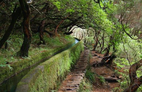 Cantinho da Té - Foto 24