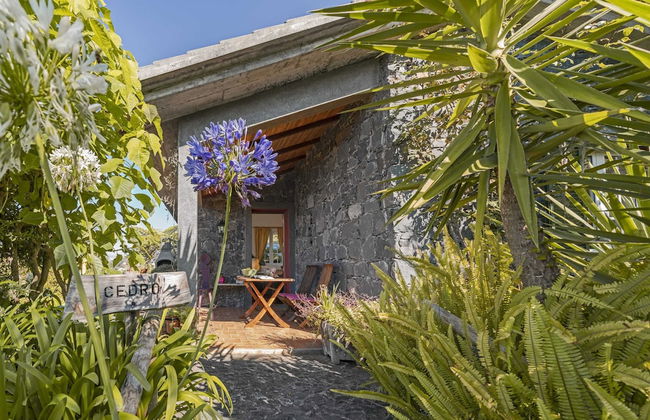 Quinta Devónia - Foto 18