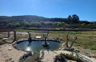 Quinta Do Marmeiral - Foto 27