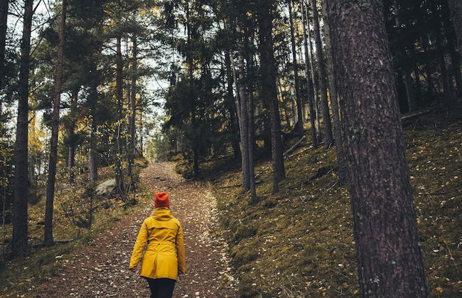 Vollsnes Gjestehus - Foto 41