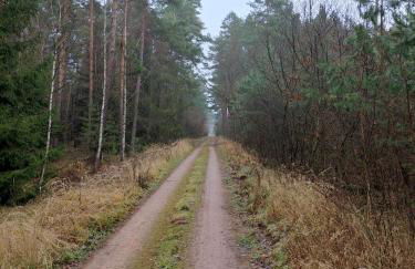Ferienhaus Erna - Foto 45
