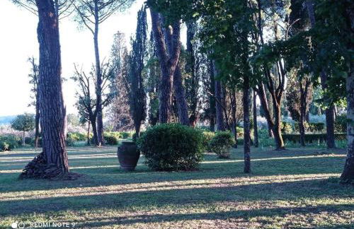 Villa Tommasini La torre - Foto 29