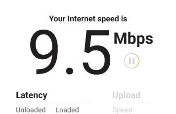 Sq Wild Rose 2 - Foto 38