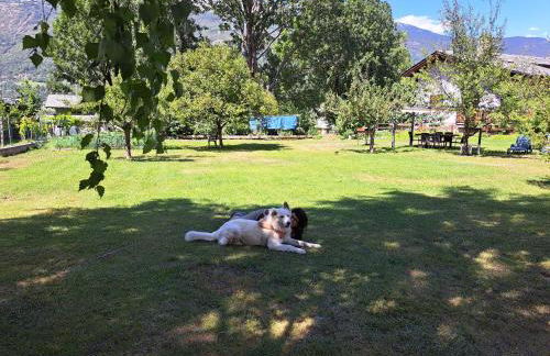 La maison de Chantal - Foto 27