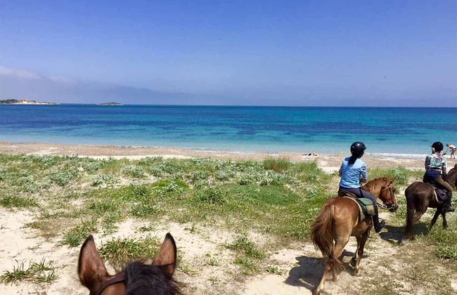 Holiday Home in Arborea With Pools & Spa - Foto 28