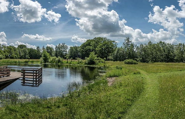 Apartment in Kornhorn Near Curringherveld - Photo 43