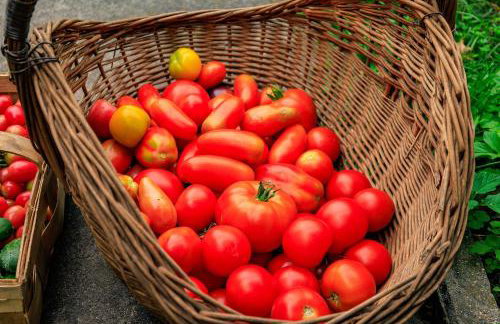 Zielona Zagroda Agnieszka Połeć - Foto 15