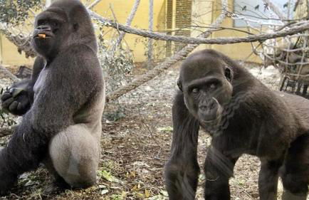 Casa para vacaciones junto al Parque de la Naturaleza de Cabarceno - Foto 14