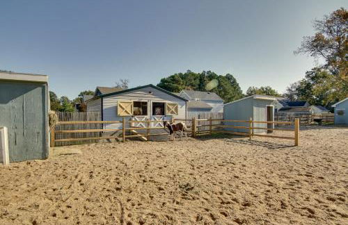 Beach Bay Pony Place with Ponies 1 Mi to Water! - Foto 28