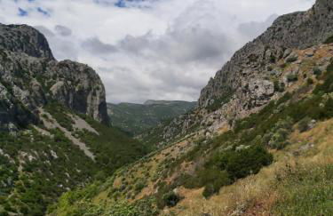 Giannis Stella apartment - Foto 36