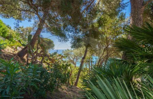 Casa dell'Asino - Goelba - Photo 20