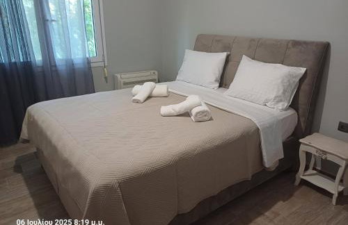 Delou-M 27 01 Luxury Apartment by Igoumenitsa - Foto 7