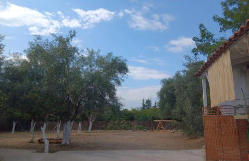 ΆΘΟΣ (ATHOS) - Foto 20