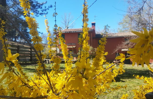 Agriturismo Piccola Raieda - Photo 51