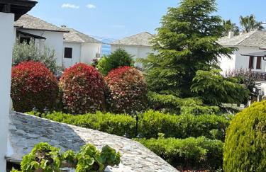 BLUE DREAM Koropi Pelion Milies South Pelion - Photo 5