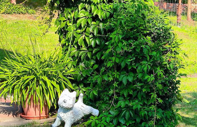 Cozy Retreat Near Rennsteig - Photo 32