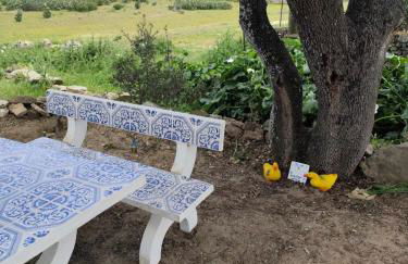 Blue&YellowHouse - Foto 7