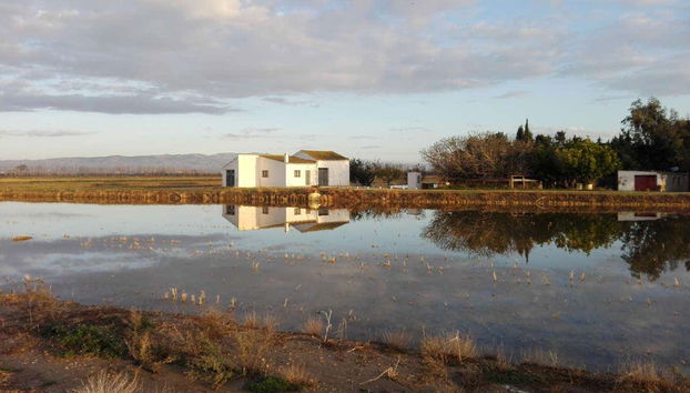 Tour por el Delta del Ebro - Foto 2, Poblenou del Delta